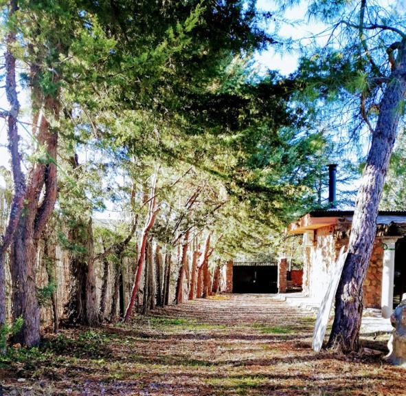 La Cabaña de Piedra Ruidera Exterior foto